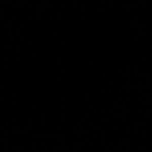 Meet your Posher, Rosa